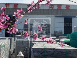 花滿枝頭，春意盎然