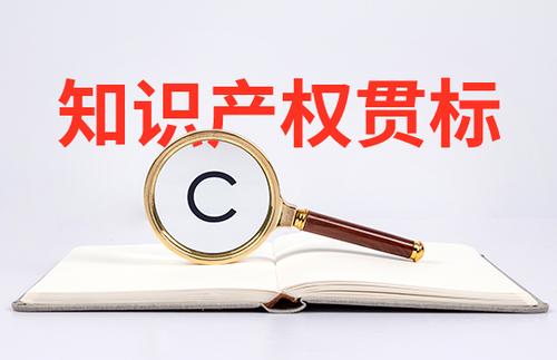 小微初創(chuàng)企業(yè)怎么申請知識產(chǎn)權(quán)貫標(biāo)？